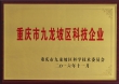 重庆市九龙坡区科技企业