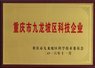 重庆市九龙坡区科技企业