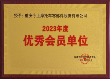 优秀会员单位